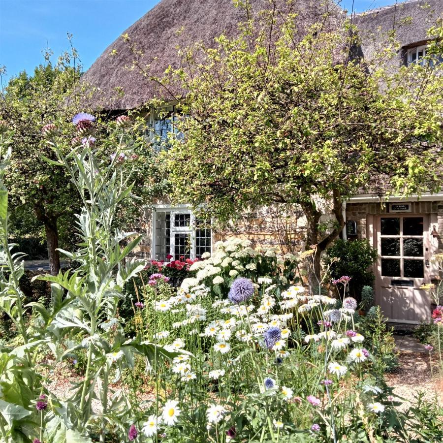 Tudor Cottage B&B Frampton Дорчестер Экстерьер фото
