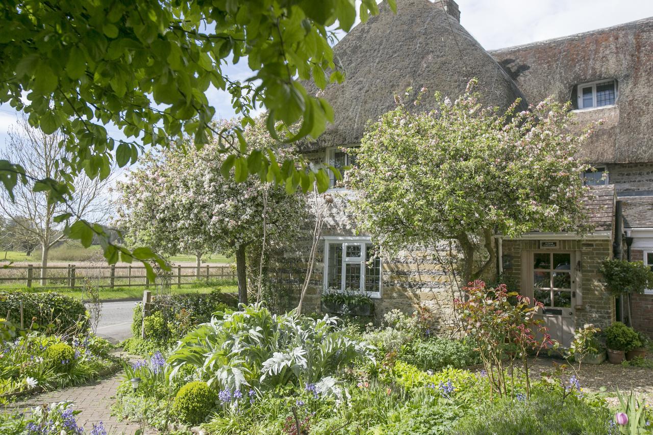 Tudor Cottage B&B Frampton Дорчестер Экстерьер фото